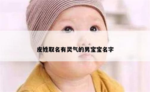 皮姓取名有灵气的男宝宝名字
