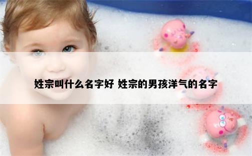 姓宗叫什么名字好 姓宗的男孩洋气的名字