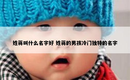 姓蒋叫什么名字好 姓蒋的男孩冷门独特的名字