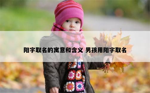 阳字取名的寓意和含义 男孩用阳字取名