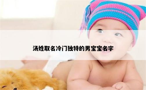 汤姓取名冷门独特的男宝宝名字