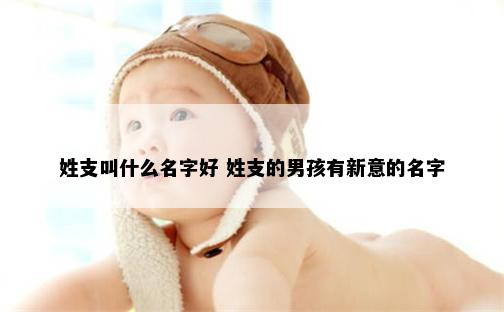 姓支叫什么名字好 姓支的男孩有新意的名字