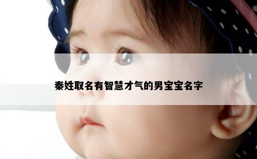 秦姓取名有智慧才气的男宝宝名字