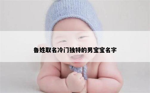 鲁姓取名冷门独特的男宝宝名字