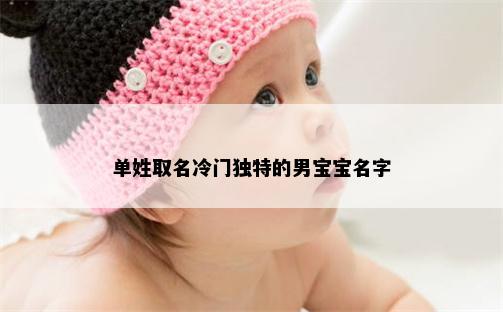 单姓取名冷门独特的男宝宝名字