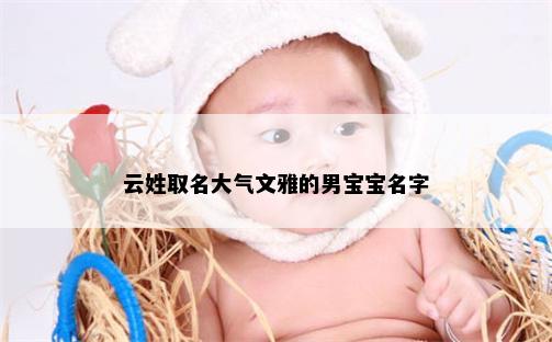 云姓取名大气文雅的男宝宝名字
