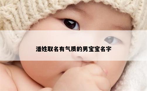 潘姓取名有气质的男宝宝名字