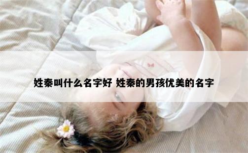 姓秦叫什么名字好 姓秦的男孩优美的名字