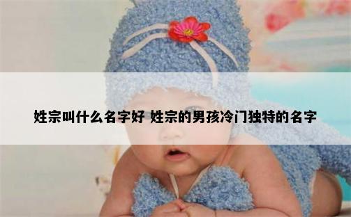 姓宗叫什么名字好 姓宗的男孩冷门独特的名字