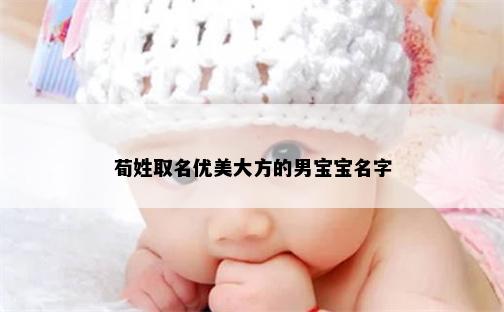 荀姓取名优美大方的男宝宝名字