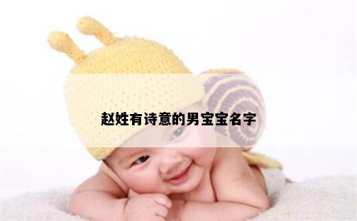 赵姓有诗意的男宝宝名字