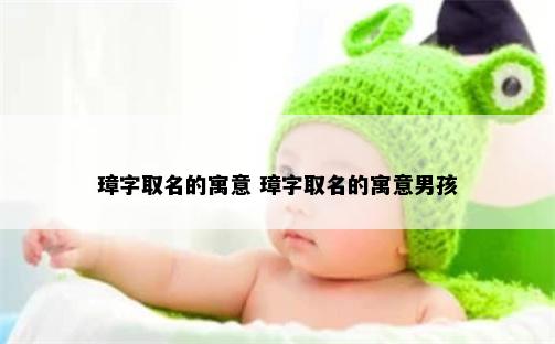 璋字取名的寓意 璋字取名的寓意男孩