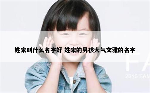 姓宋叫什么名字好 姓宋的男孩大气文雅的名字