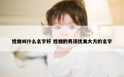 姓魏叫什么名字好 姓魏的男孩优美大方的名字