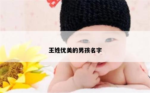 王姓优美的男孩名字