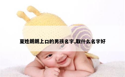 夏姓朗朗上口的男孩名字,取什么名字好