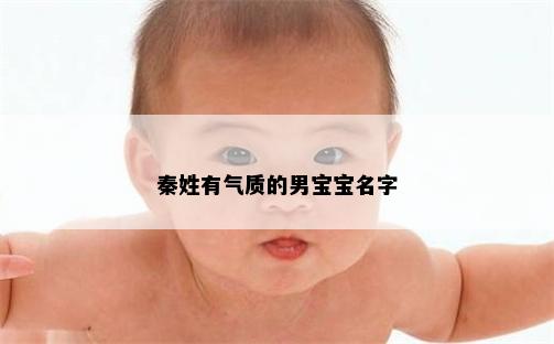 秦姓有气质的男宝宝名字
