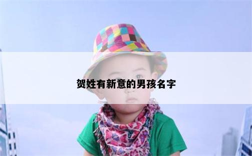 贺姓有新意的男孩名字