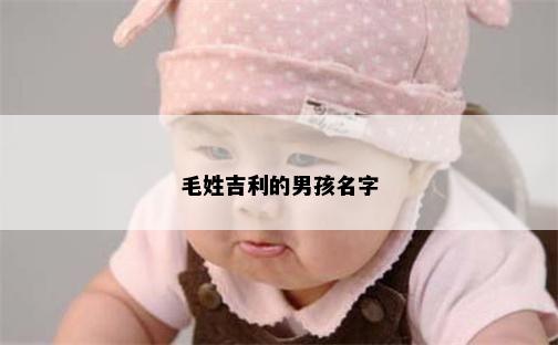 毛姓吉利的男孩名字