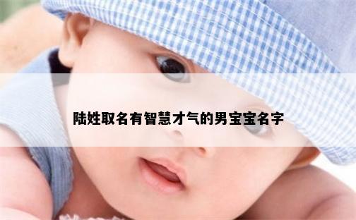 陆姓取名有智慧才气的男宝宝名字