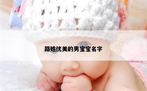 路姓优美的男宝宝名字