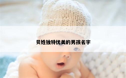 贝姓独特优美的男孩名字