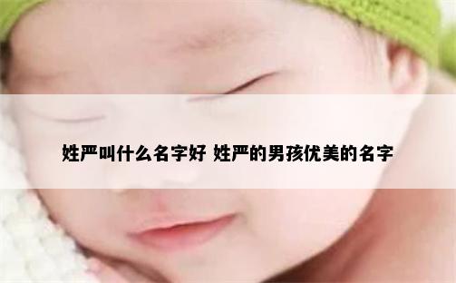 姓严叫什么名字好 姓严的男孩优美的名字