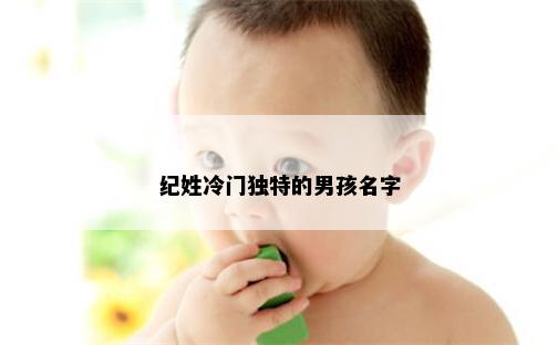 纪姓冷门独特的男孩名字