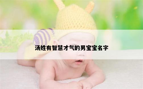 汤姓有智慧才气的男宝宝名字