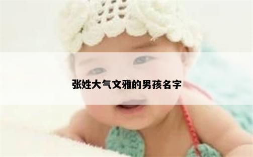张姓大气文雅的男孩名字
