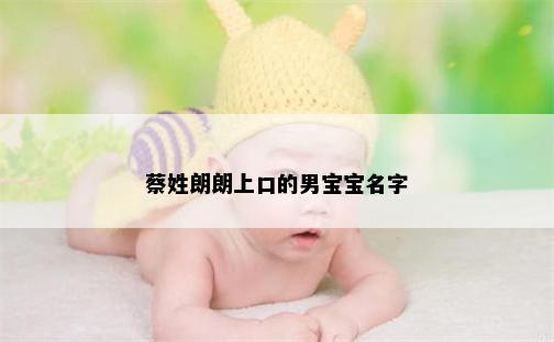 蔡姓朗朗上口的男宝宝名字