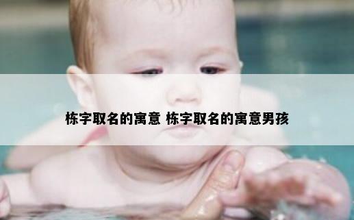 栋字取名的寓意 栋字取名的寓意男孩