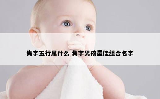 隽字五行属什么 隽字男孩最佳组合名字