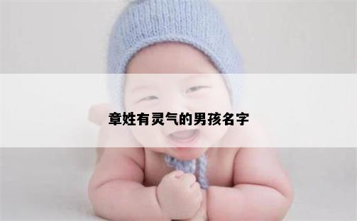 章姓有灵气的男孩名字
