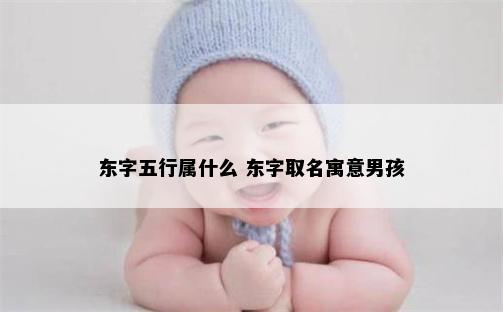 东字五行属什么 东字取名寓意男孩