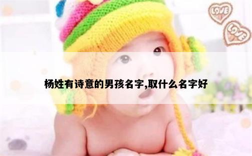杨姓有诗意的男孩名字,取什么名字好
