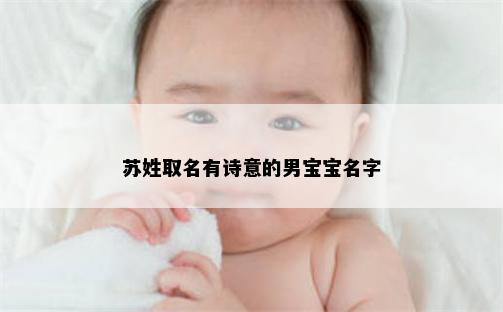 苏姓取名有诗意的男宝宝名字