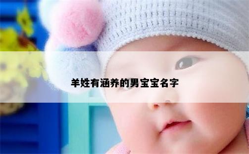 羊姓有涵养的男宝宝名字