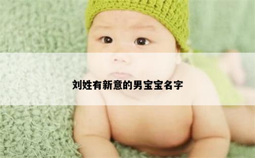 刘姓有新意的男宝宝名字