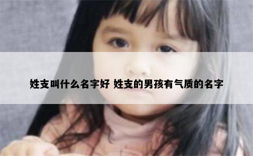 姓支叫什么名字好 姓支的男孩有气质的名字