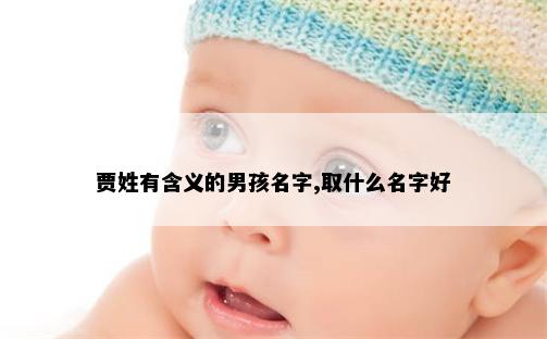 贾姓有含义的男孩名字,取什么名字好