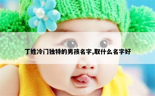丁姓冷门独特的男孩名字,取什么名字好