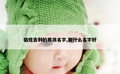 骆姓吉利的男孩名字,取什么名字好