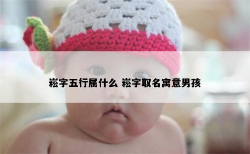 崧字五行属什么 崧字取名寓意男孩