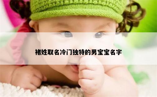 褚姓取名冷门独特的男宝宝名字