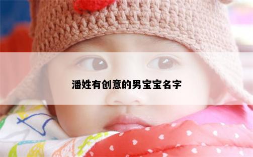 潘姓有创意的男宝宝名字