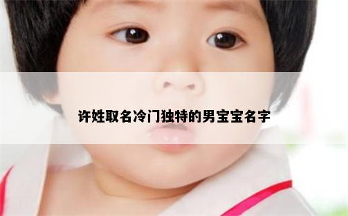 许姓取名冷门独特的男宝宝名字