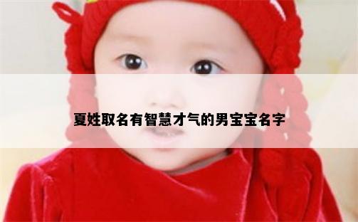夏姓取名有智慧才气的男宝宝名字