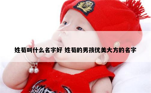 姓荀叫什么名字好 姓荀的男孩优美大方的名字