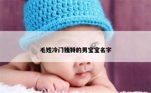 毛姓冷门独特的男宝宝名字